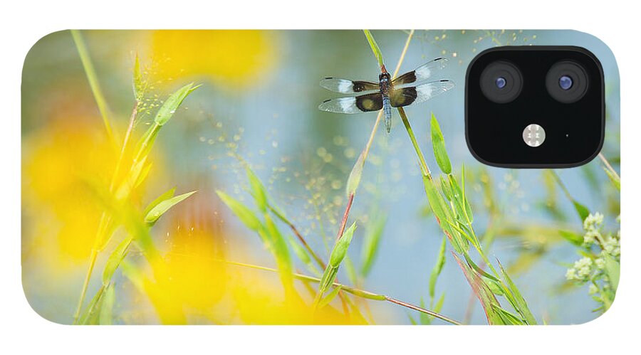 Dragonfly iPhone 12 Case featuring the photograph Dragonfly Beauty by Stacy Abbott