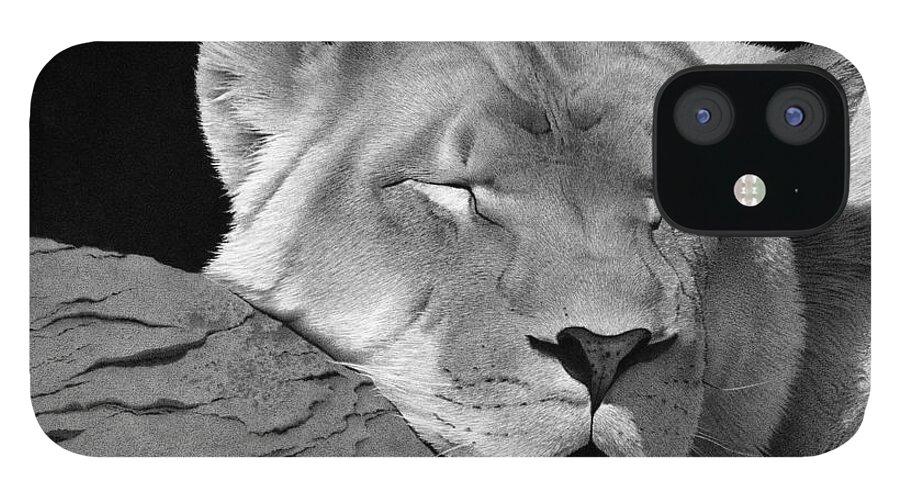 Lion iPhone 12 Case featuring the drawing Drifting Off by Stirring Images