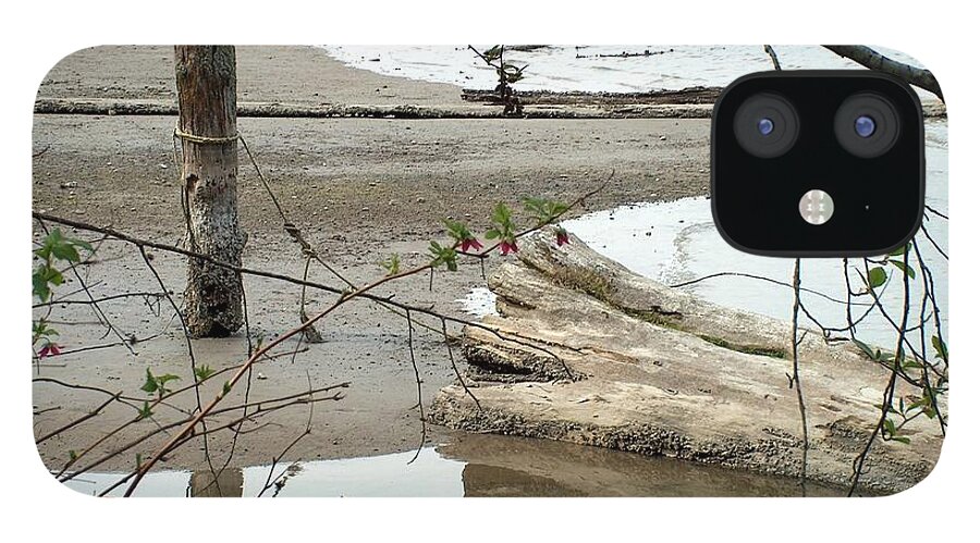 Seascape iPhone 12 Case featuring the photograph Driftwood Reflections by Wayne Enslow