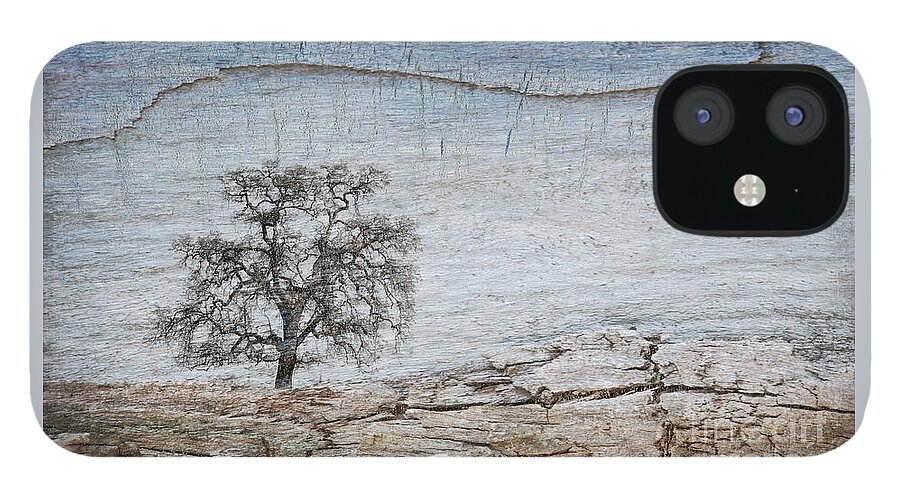 California iPhone 12 Case featuring the photograph Drought by Alice Cahill