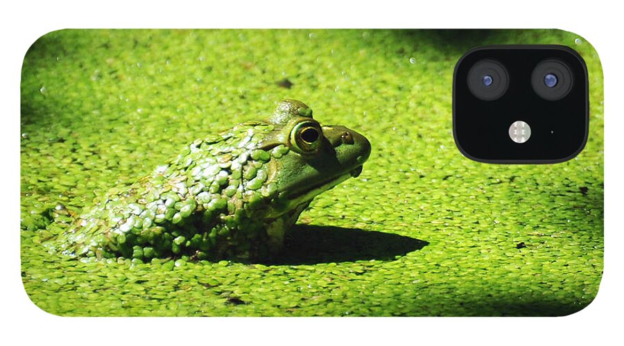 Green iPhone 12 Case featuring the photograph Easy Being Green by Rebecca Sherman