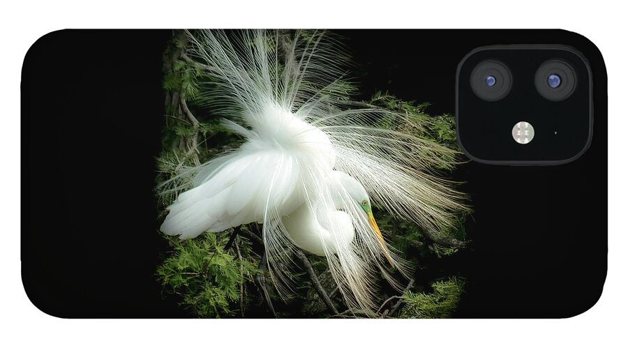 White Egret iPhone 12 Case featuring the photograph ELEGANCE of CREATION by Karen Wiles