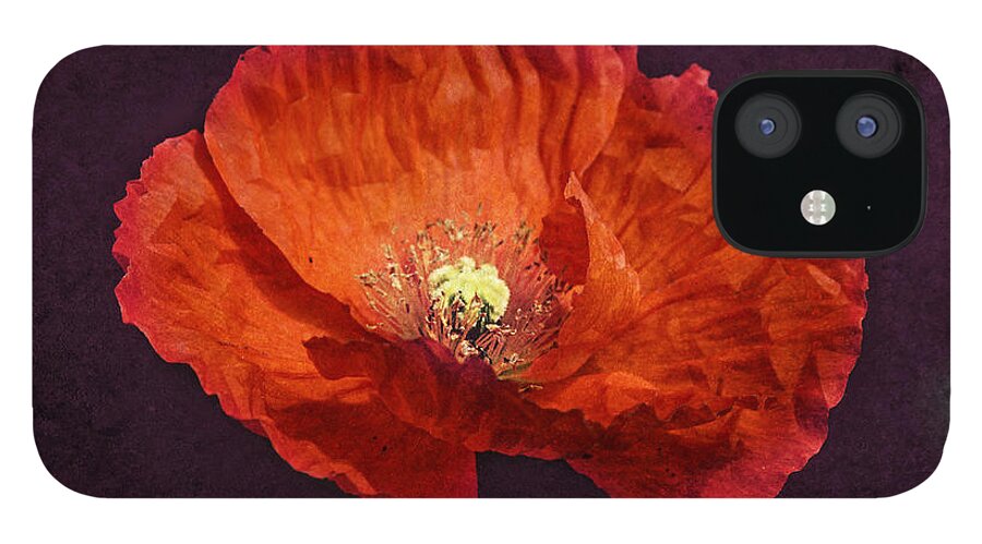 Poppy iPhone 12 Case featuring the photograph Elegant Orange by Melanie Lankford Photography