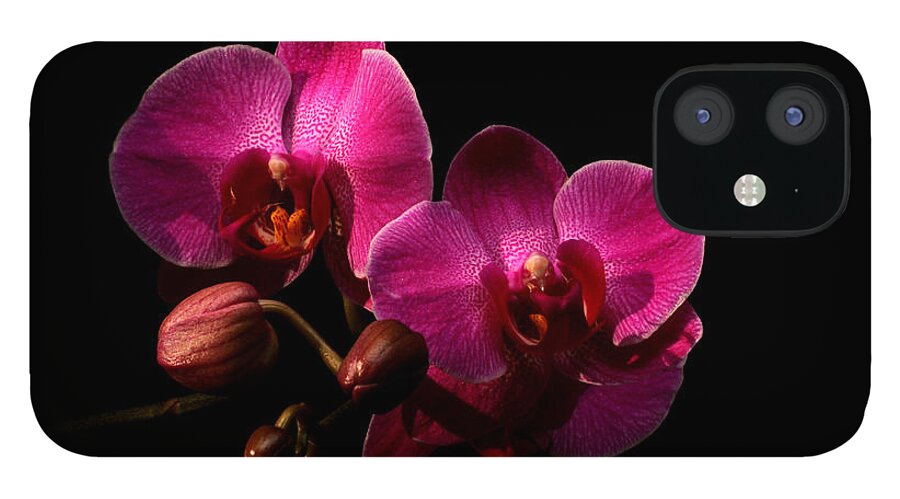 Orchid iPhone 12 Case featuring the photograph Enchantment by Doug Norkum