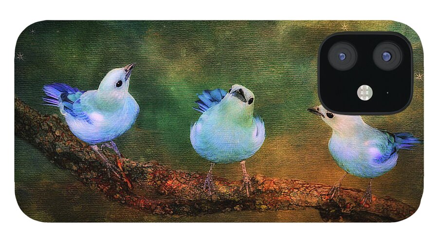 Bird iPhone 12 Case featuring the photograph Faith Hope and Charity by Lois Bryan