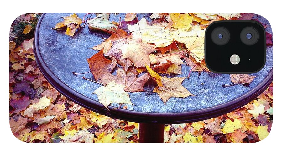 Fall iPhone 12 Case featuring the photograph Fall foliage on table and ground by Matthias Hauser