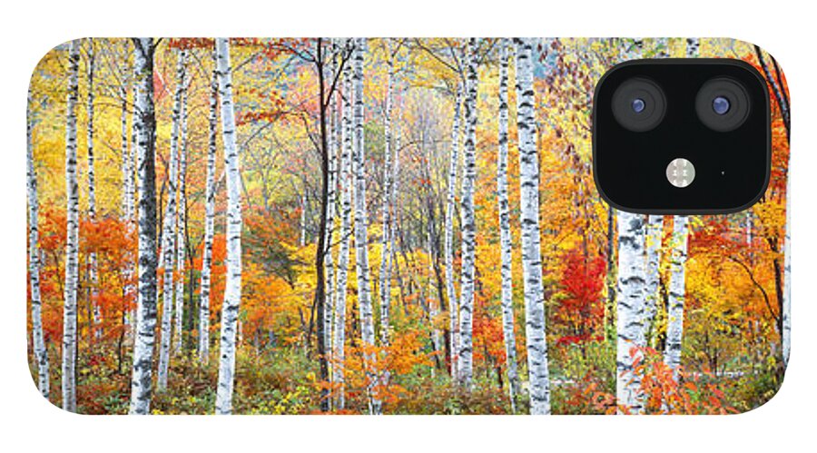 Photography iPhone 12 Case featuring the photograph Fall Trees, Shinhodaka, Gifu, Japan by Panoramic Images