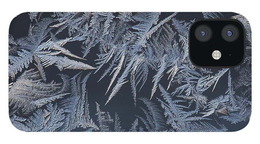 Abstract iPhone 12 Case featuring the photograph Fern frost blooming on a window by Ulrich Kunst And Bettina Scheidulin