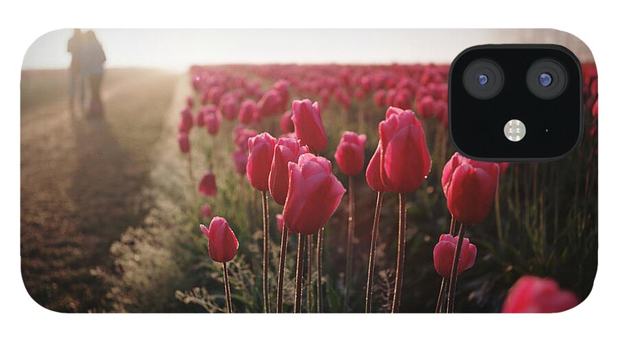 Tranquility iPhone 12 Case featuring the photograph Field Of Tulips At Sunrise by Danielle D. Hughson