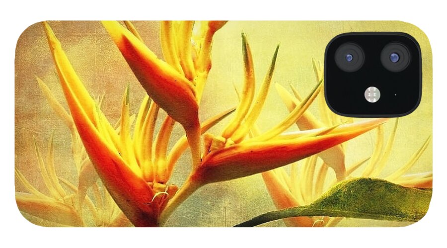 Flowers iPhone 12 Case featuring the photograph Flames of Paradise by Ellen Cotton