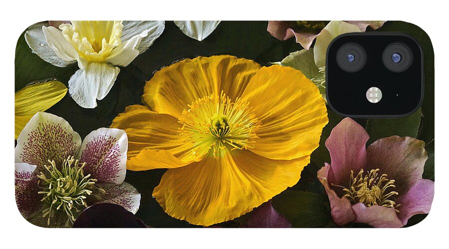 Floating Spring Flower Bouquet iPhone 12 Case featuring the photograph Floating Bouquet Of Early April Flowers by Byron Varvarigos