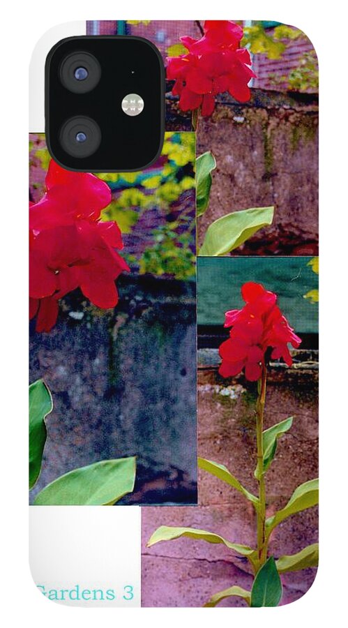 Flowers iPhone 12 Case featuring the photograph Flower Gardens c by Mary Ann Leitch