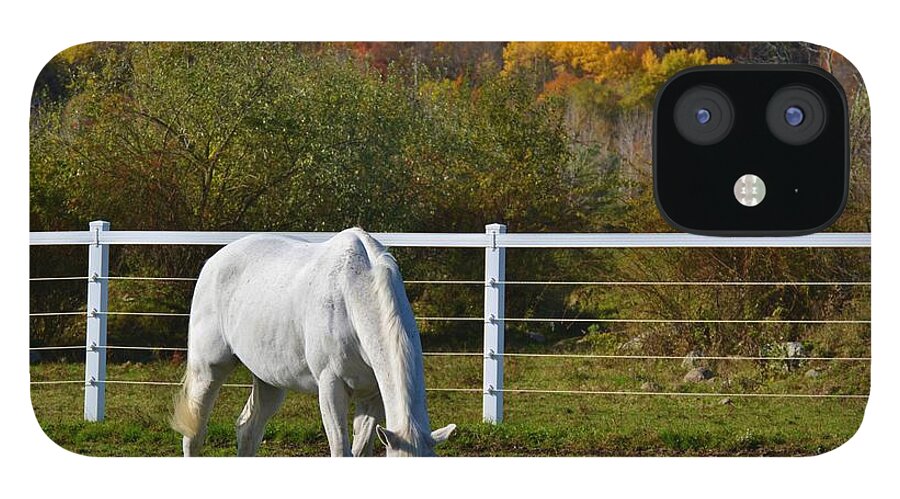 Horse iPhone 12 Case featuring the photograph Foliage at the Farm by Tammie Miller