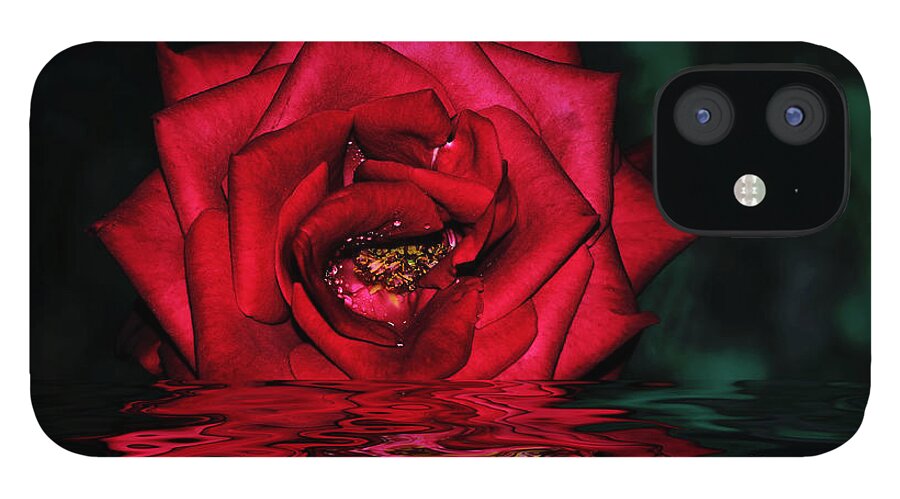 Photography iPhone 12 Case featuring the photograph For Lovers of Rich Red... by Kaye Menner