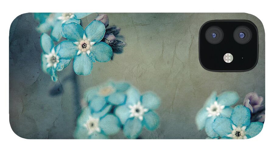 Blue iPhone 12 Case featuring the photograph Forget Me Not 01 - s22dt06 by Variance Collections