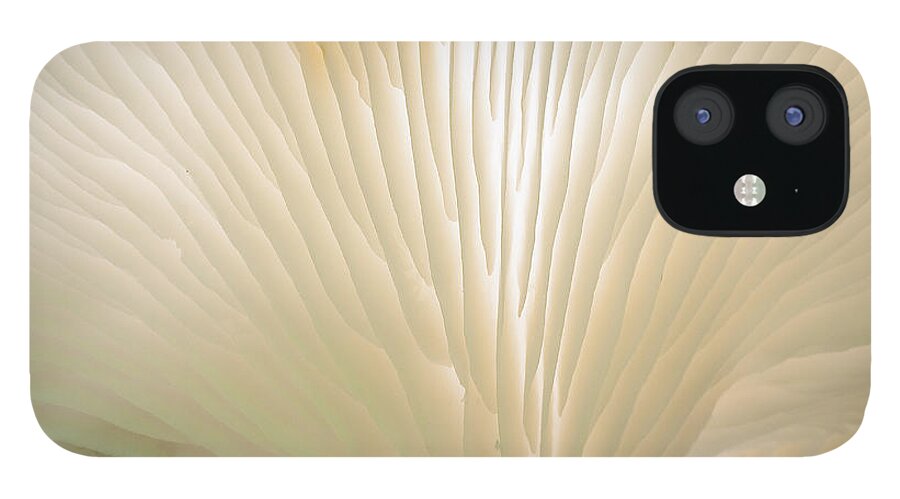 Ridgeway iPhone 12 Case featuring the photograph Fungus by Steven Ralser