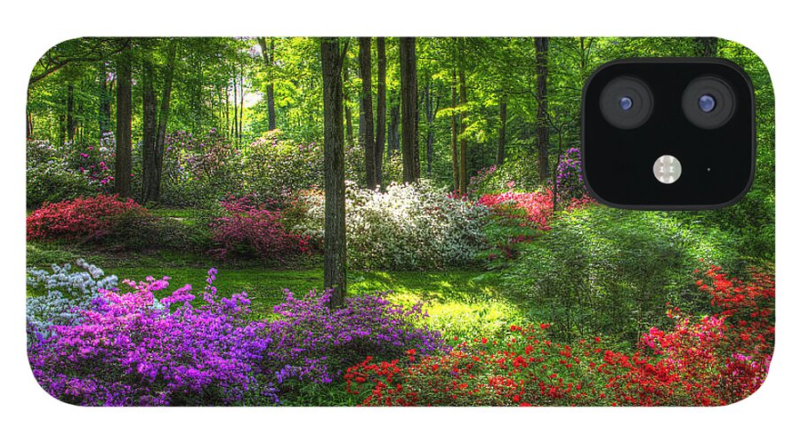 Garden iPhone 12 Case featuring the photograph Garden of Color by Carolyn Hall