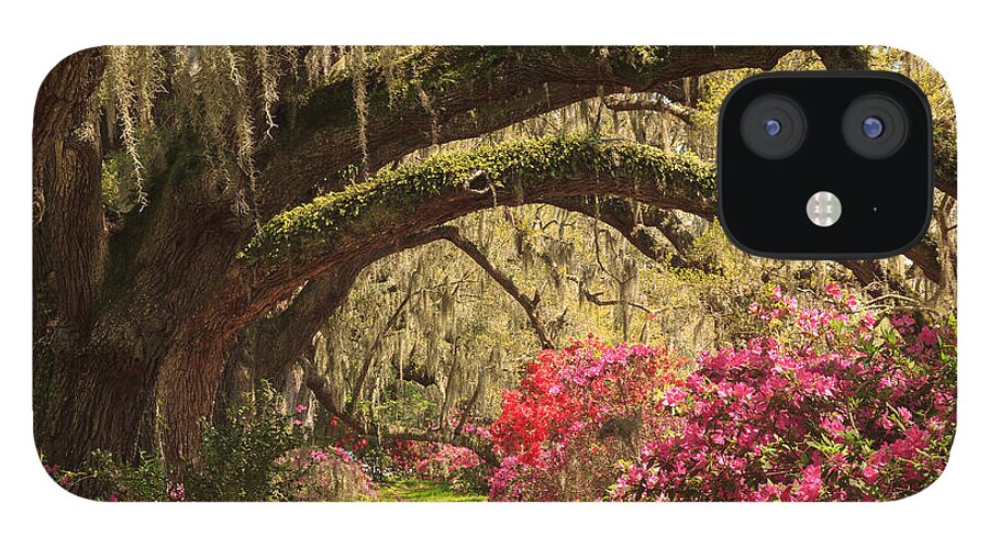 Magnolia Plantation And Gardens iPhone 12 Case featuring the photograph Garden View by Patricia Schaefer