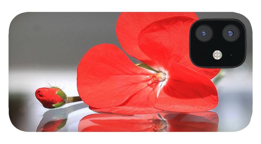 Geranium iPhone 12 Case featuring the photograph Geranium Reflections by Andrea Lazar