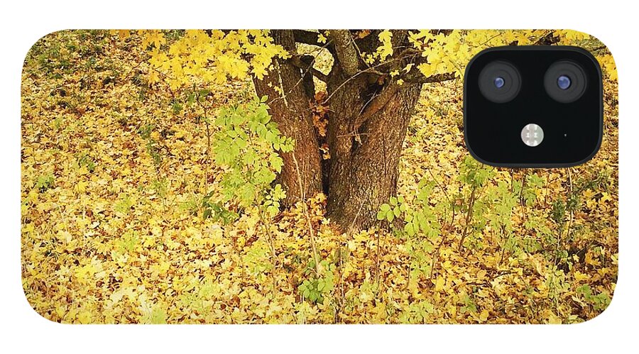Autumn iPhone 12 Case featuring the photograph Golden and yellow autumn leaves by Matthias Hauser