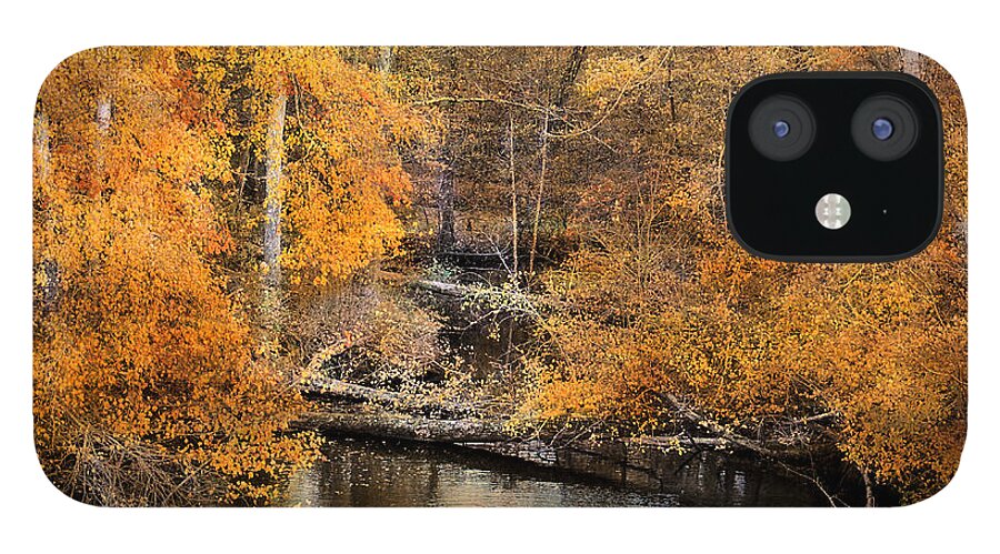 Autumn iPhone 12 Case featuring the photograph Golden Blessings by Jai Johnson