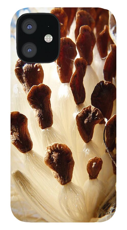 Seed Pods iPhone 12 Case featuring the photograph Gone To Seed by Jane Ford