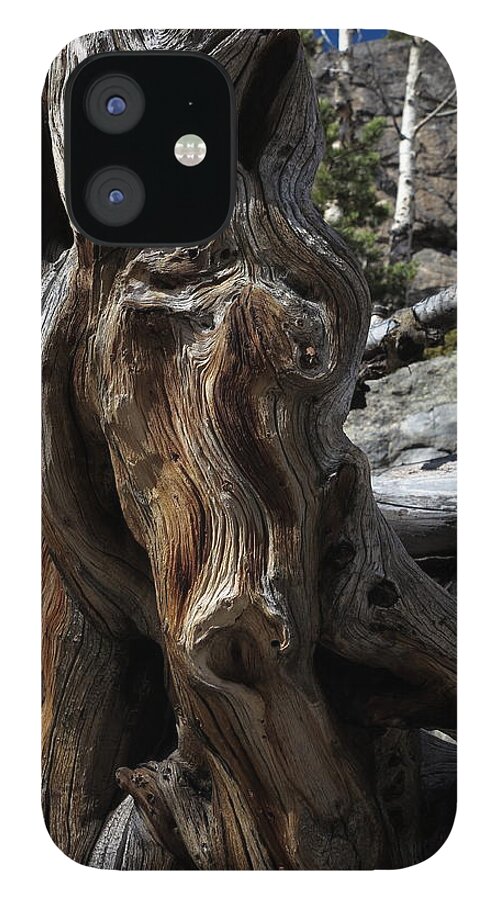 Wood iPhone 12 Case featuring the photograph Grain by Jessica Myscofski