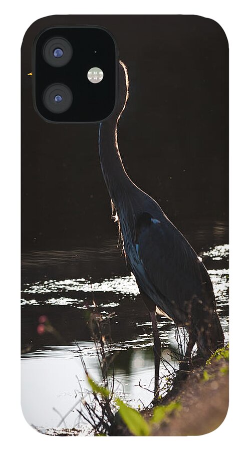 Ardea Herodias iPhone 12 Case featuring the photograph Great Blue Heron by Ed Gleichman