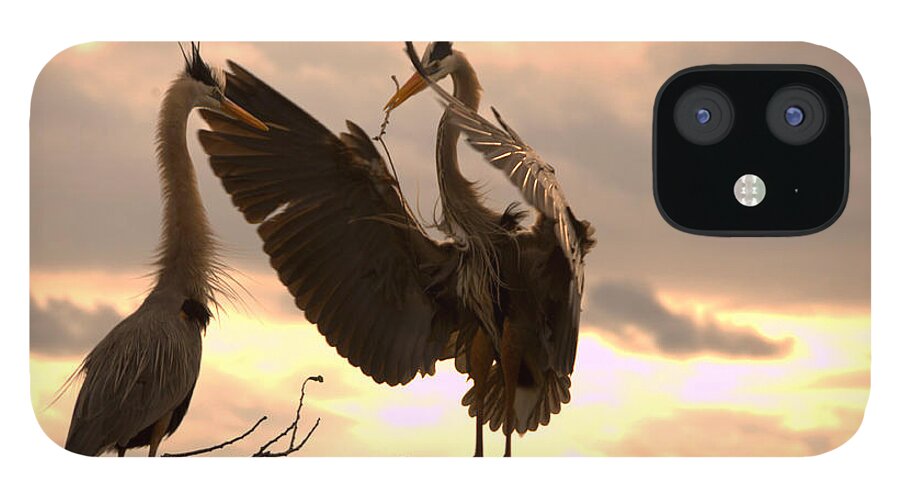 Great iPhone 12 Case featuring the photograph Great Blue Heron Greets Mate with Twig by Jane Axman