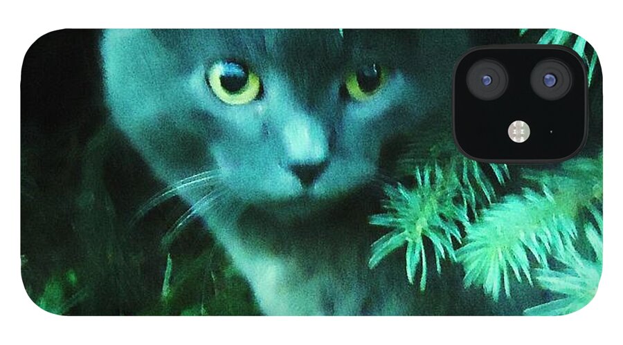 Cat iPhone 12 Case featuring the photograph Green Eyes by Leslie Manley