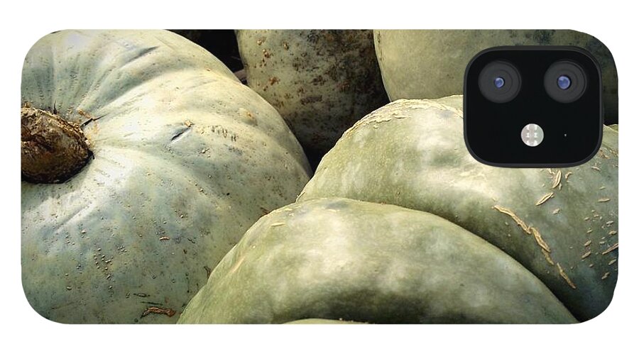 Pumpkin iPhone 12 Case featuring the photograph Green Pumpkins by Photographic Arts And Design Studio