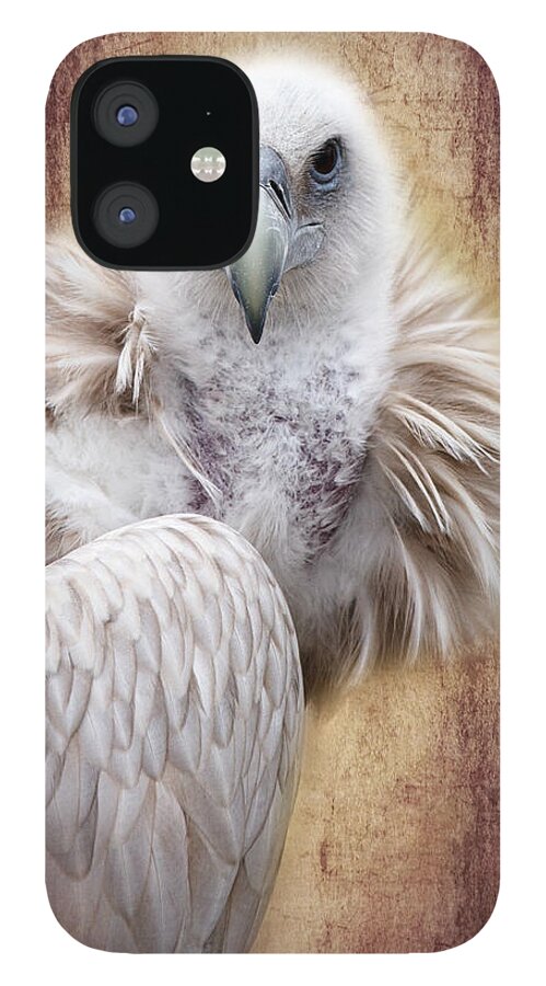 Vulture iPhone 12 Case featuring the photograph Griffon Vulture by Barbara Orenya
