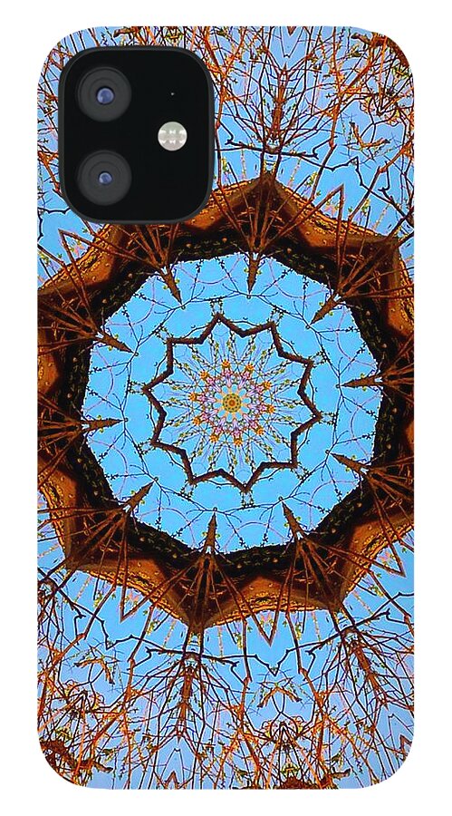 Abstract iPhone 12 Case featuring the photograph Guardian of the Forest by Gigi Dequanne