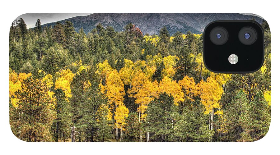 Fall Color iPhone 12 Case featuring the photograph Hart Prairie by Tam Ryan