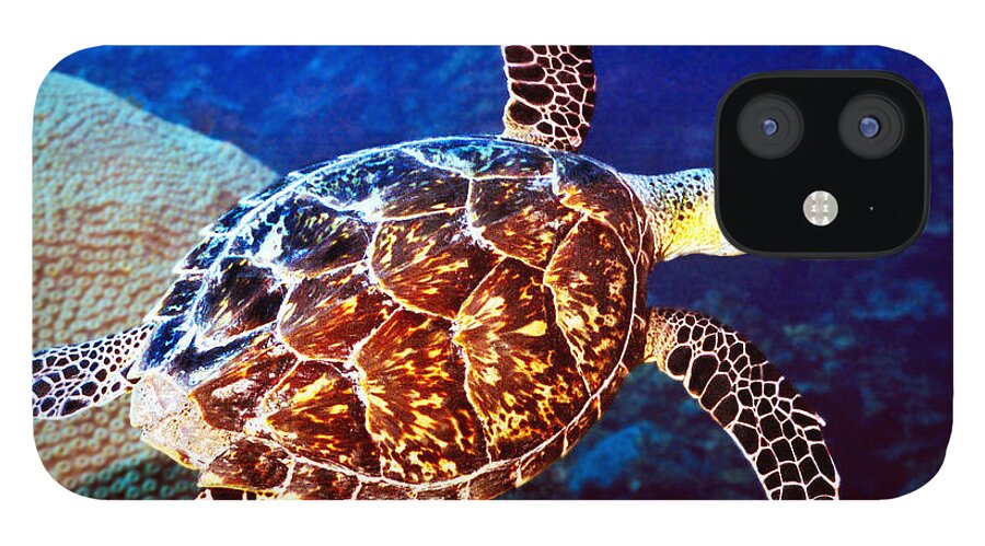  Swimming Sea Turtle iPhone 12 Case featuring the photograph Hawksbill by Jean Noren