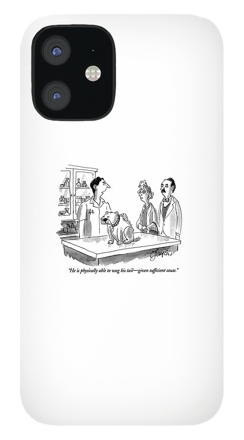 He Is Physically Able To Wag His Tail - Given iPhone 12 Case