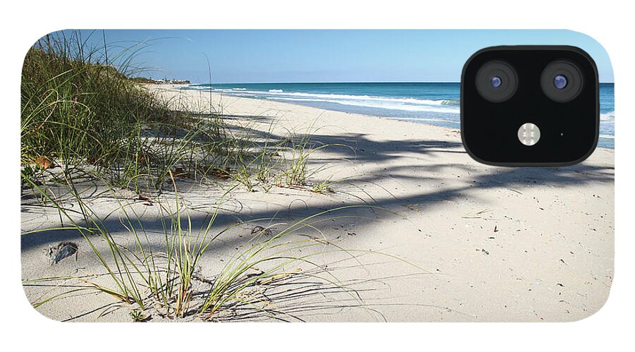 Beach iPhone 12 Case featuring the photograph Hidden Palms by Michelle Constantine