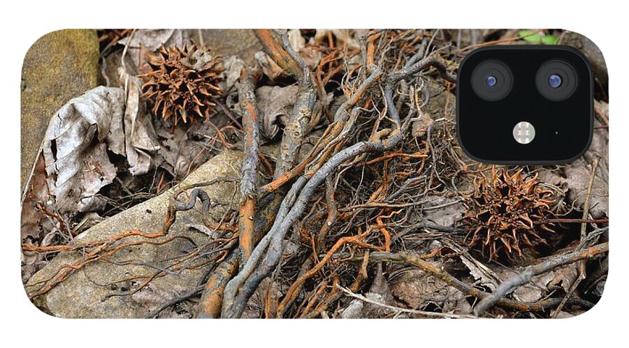 Twigs iPhone 12 Case featuring the photograph Hideout Hollow 1 by Laureen Murtha Menzl