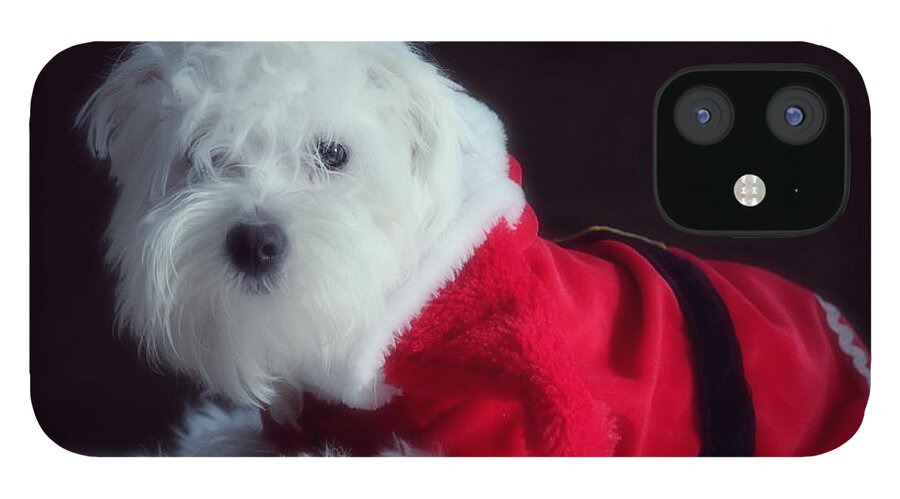 Dog iPhone 12 Case featuring the photograph Ho Ho Ho Merry Christmas by Melanie Lankford Photography