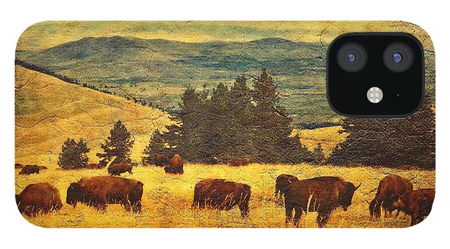 Buffalo iPhone 12 Case featuring the digital art Home on the Range by Lianne Schneider