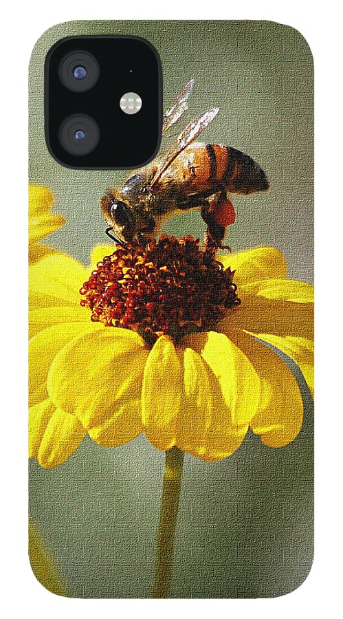 Honey Bee And Brittle Bush Flower iPhone 12 Case featuring the photograph Honey Bee And Brittle Bush Flower by Tom Janca