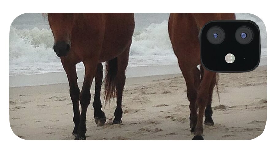 Horses iPhone 12 Case featuring the photograph Horses #2 by Sheila Mashaw