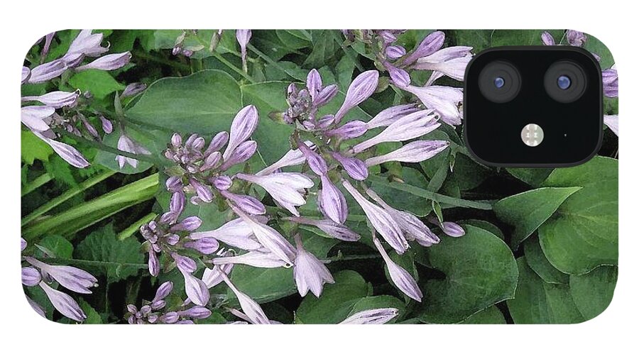 Hosta iPhone 12 Case featuring the photograph Hosta Ballet by Carolyn Jacob