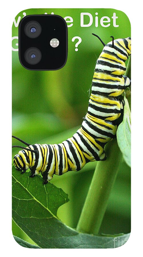 Monarch iPhone 12 Case featuring the photograph How the Diet Going by Steve Augustin