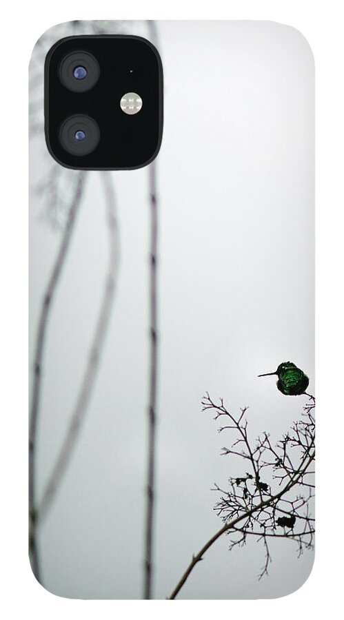 Hummingbird iPhone 12 Case featuring the photograph Hummingbird in Fog 2 by Rebecca Cozart