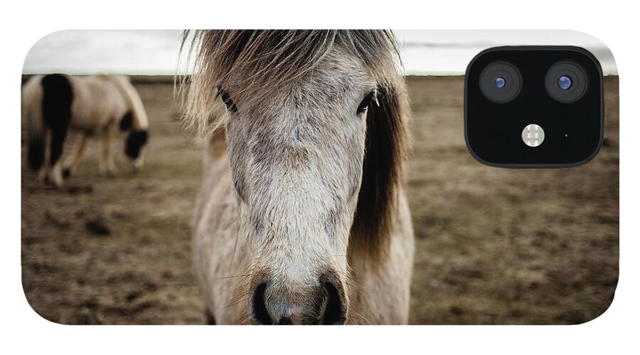Horse iPhone 12 Case featuring the photograph Icelandic Horse by Manachai