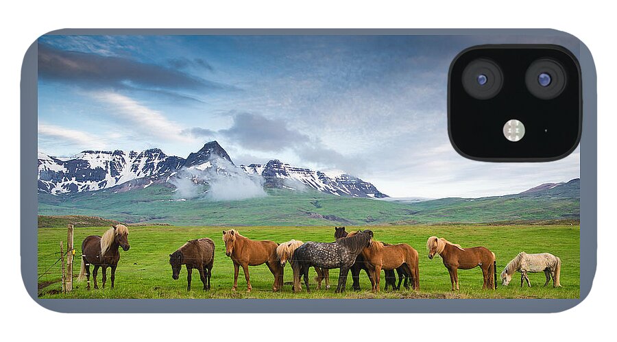 Iceland iPhone 12 Case featuring the photograph Icelandic horses in mountain landscape in Iceland by Matthias Hauser