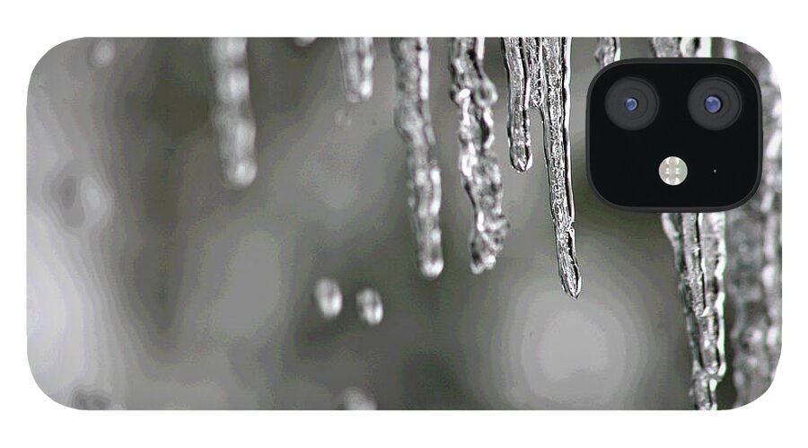  iPhone 12 Case featuring the photograph Icicles by Matalyn Gardner