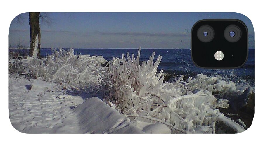 Ice iPhone 12 Case featuring the photograph Icy Wonderland by Lynne McQueen