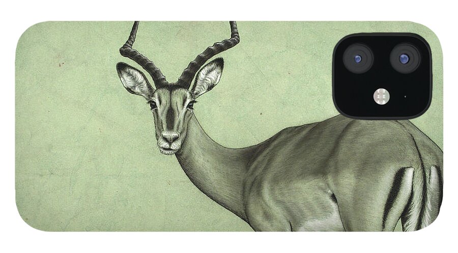 Impala iPhone 12 Case featuring the painting Impala by James W Johnson